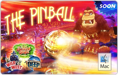 thepinball cover