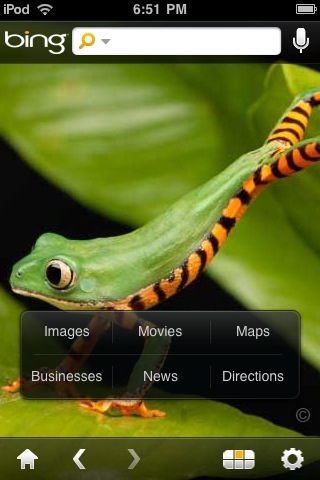 Bing iPhone