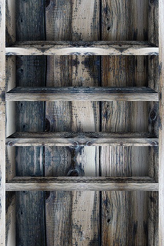 VintageShelves_Archigraphs_3GS