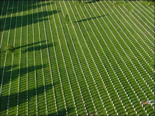 Soldati fotografano 300 000 lapidi con iPhone 