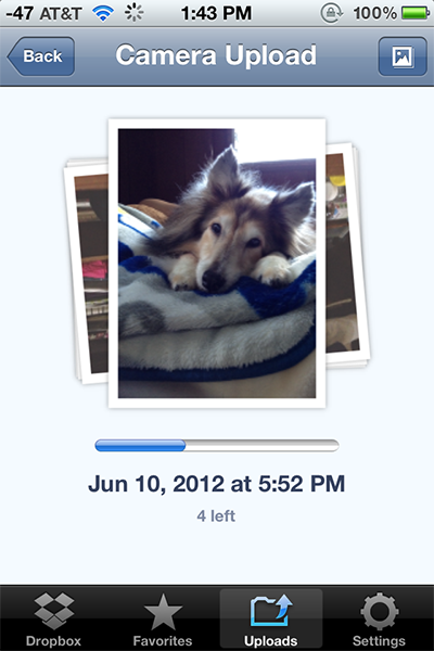 12.06.14-Dropbox-1