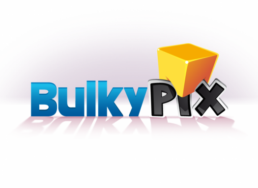 bulkypix