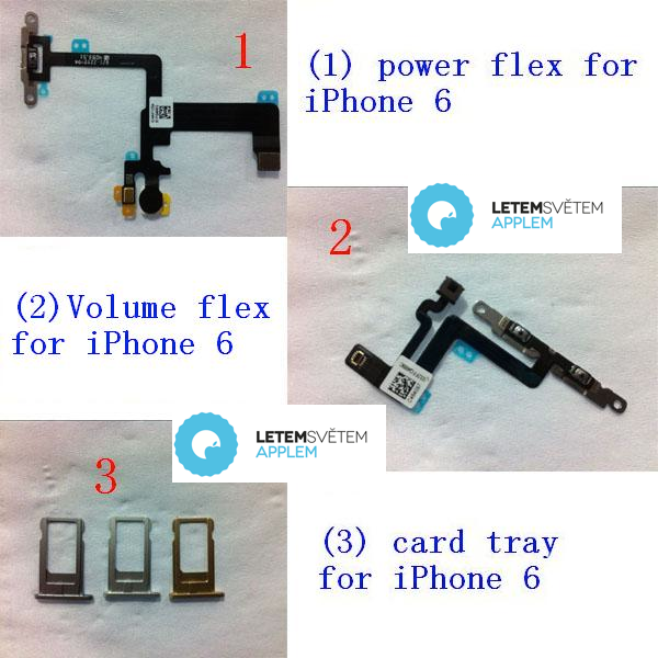 iPhone 6, immagini delle componenti interne
